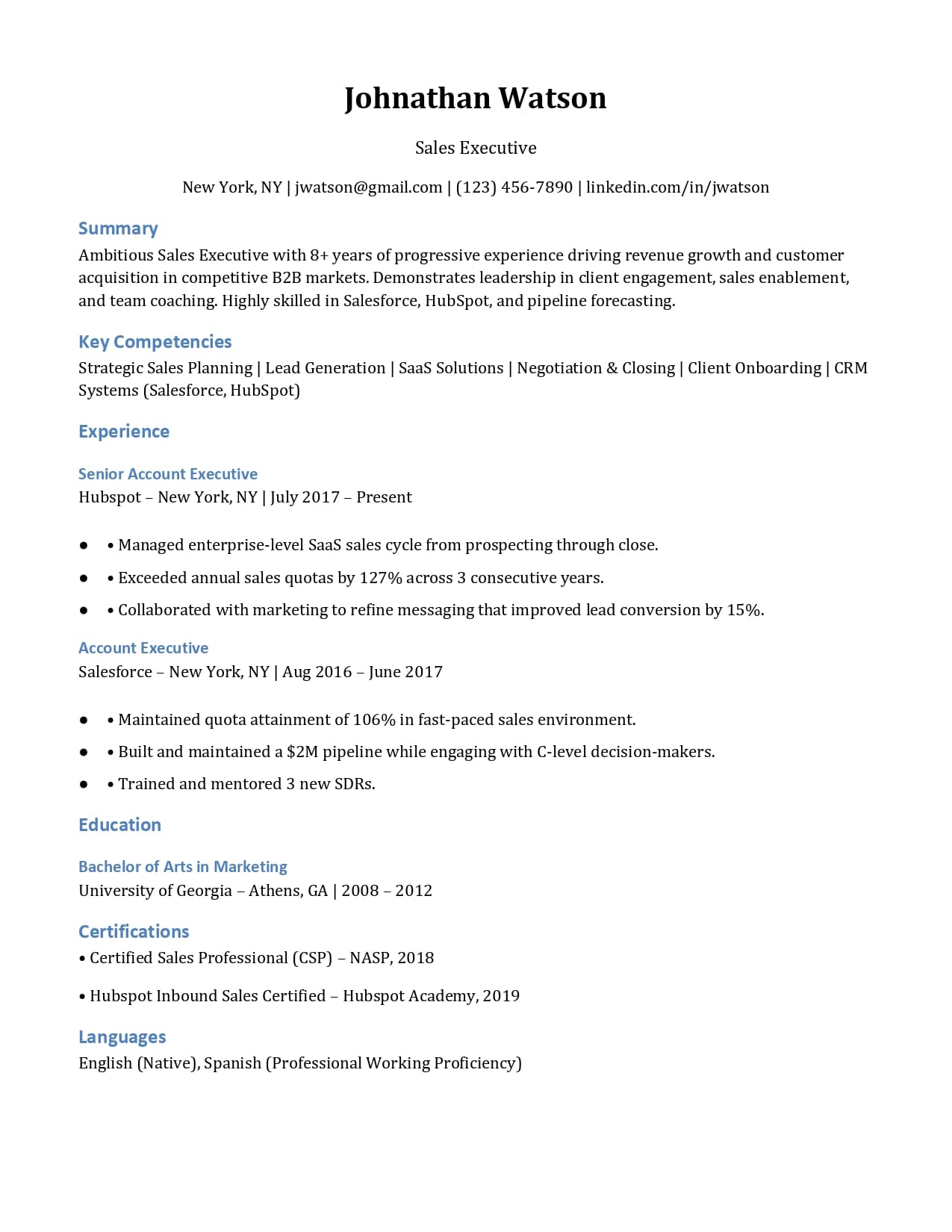 Modern Professional ATS CV Template Preview
